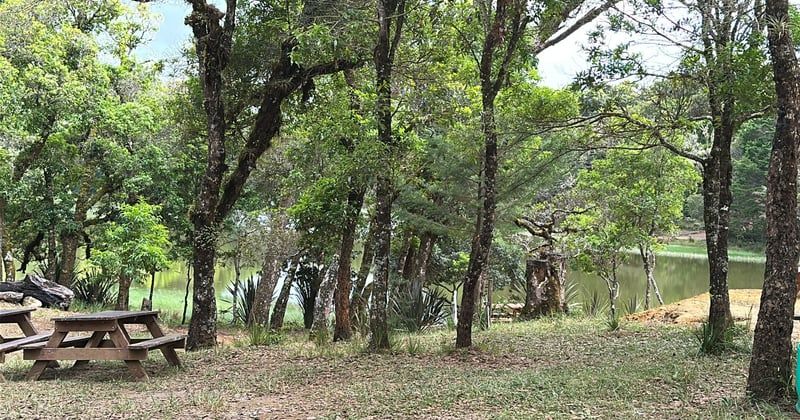 Où trouver un camping calme près de Bordeaux pour des vacances paisibles