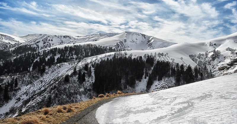 Du Pays basque aux Pyrénées-Orientales : des secteurs qui marchent avec les petits