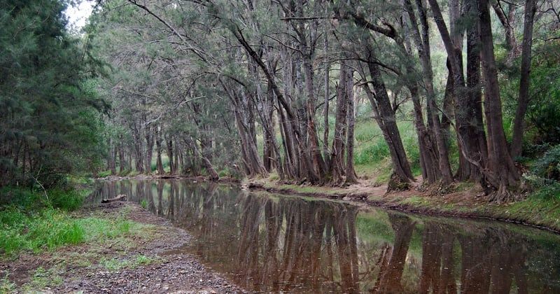 Camping romantique en bord de rivière : 12 spots de rêve à deux