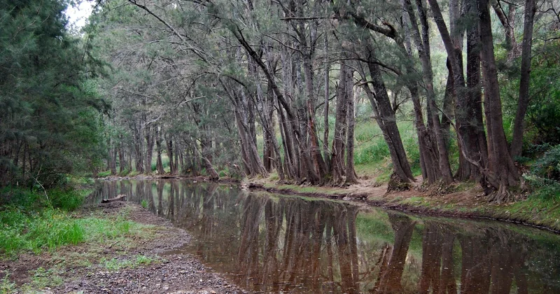 Où trouver un camping romantique en bord de rivière en France ?